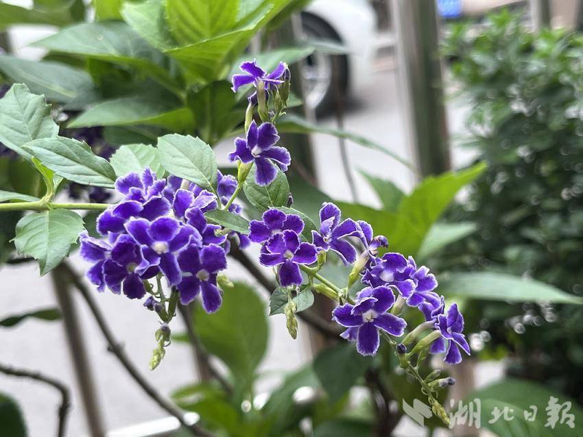 哪里能玩斗牛纸牌游戏